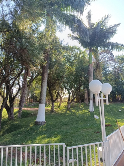 Associação Amigos do Colombo