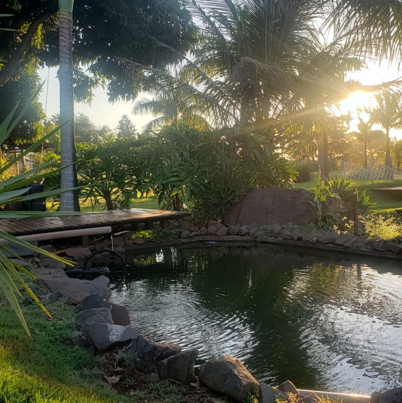 CHÁCARA PERFECT GARDEN EVENTOS